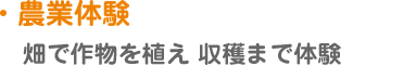 【農業体験】畑で作物を植え 収穫まで体験